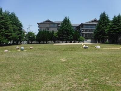 田井庄街区全景