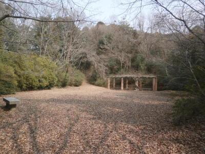 神宮外苑公園広場