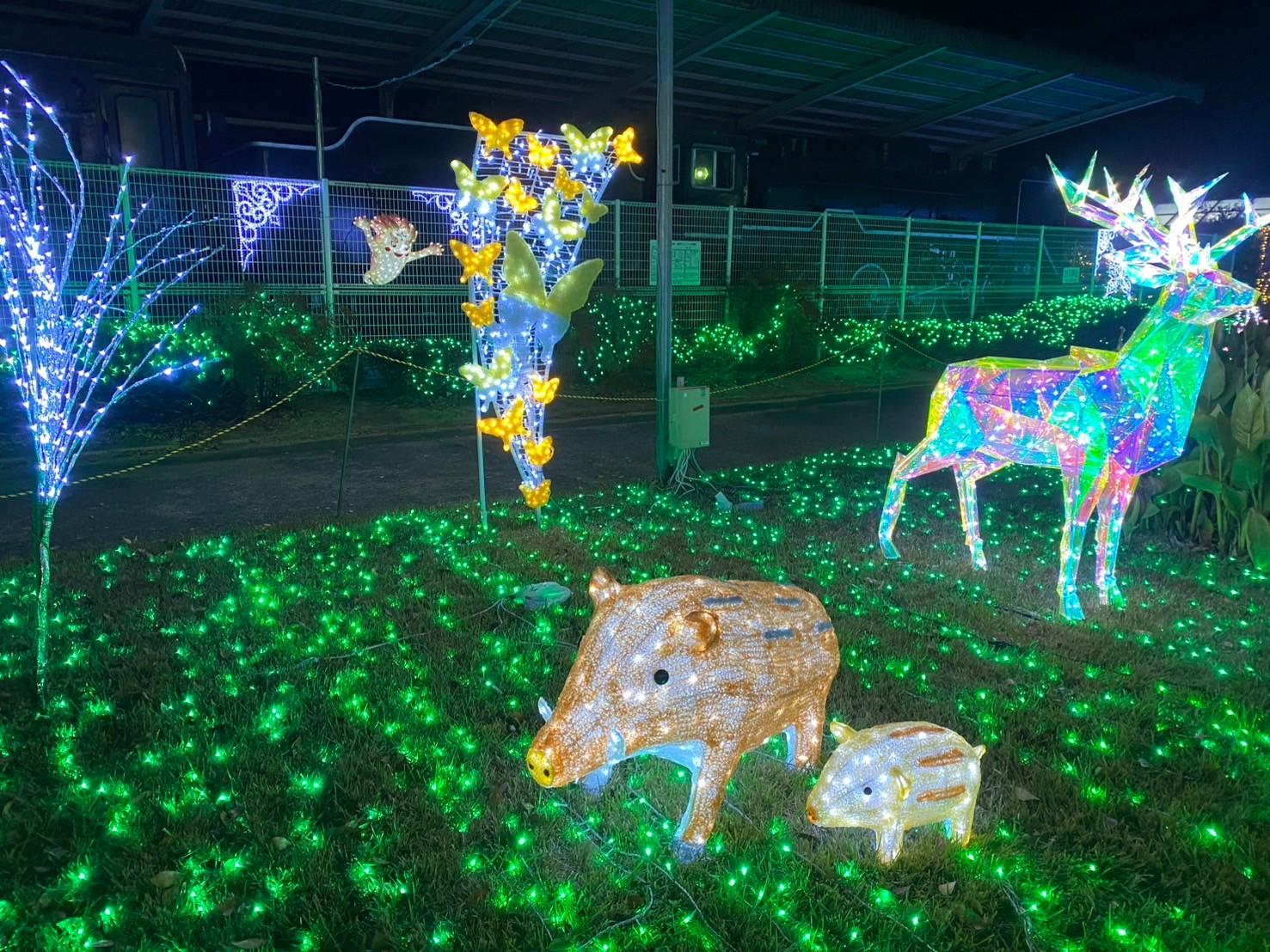 イルミネーション