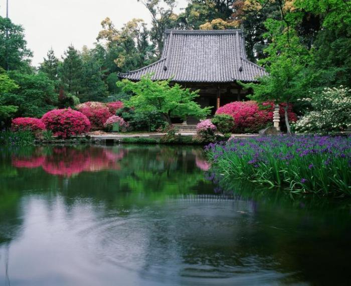 長岳寺のつつじ・かきづばた