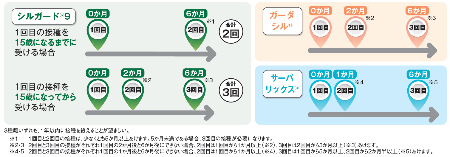 標準的な接種回数および間隔