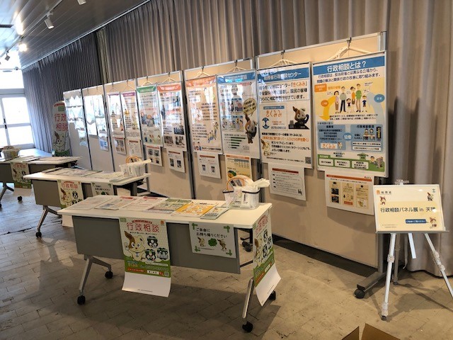 展示の様子