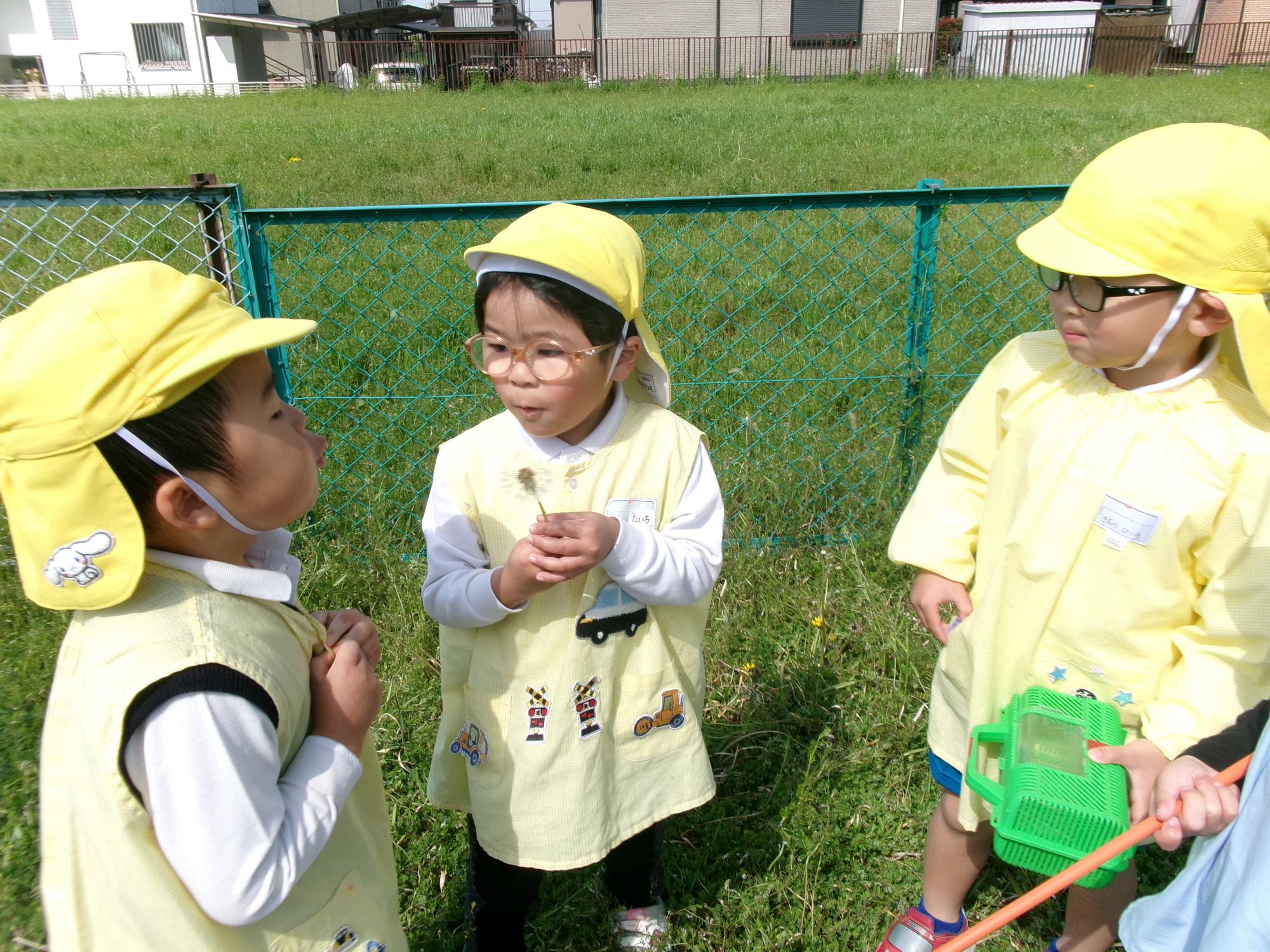園内での自然遊び