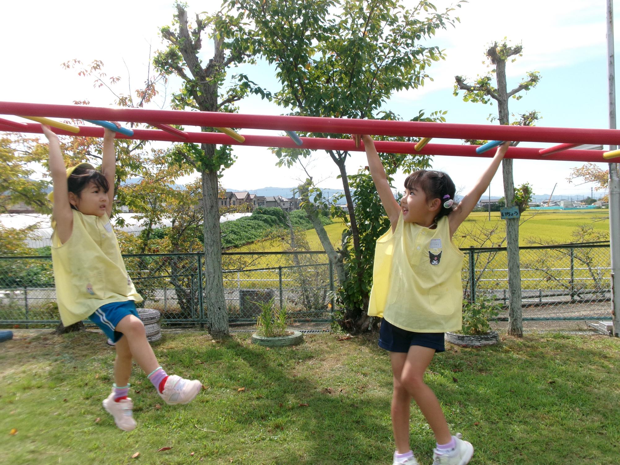 幼児の体力向上を目指して園庭で雲梯をする園児達